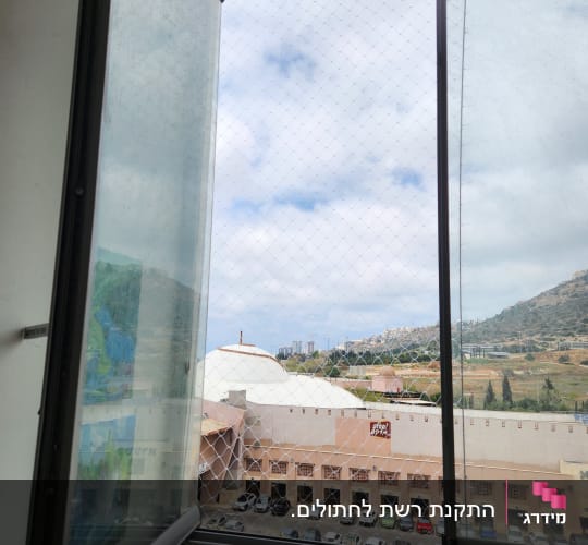 חלון עם רשת נגד יונים ונוף עירוני